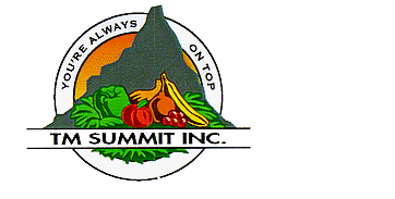 T.M. Summit
